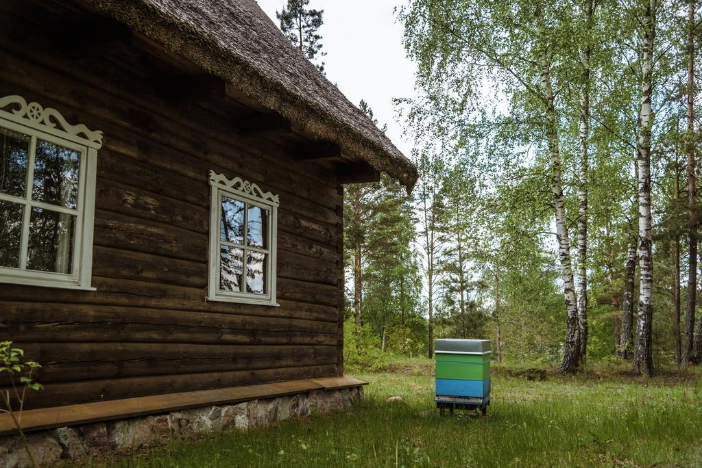 Vabalyne Hostal Vilkiskes Exterior foto